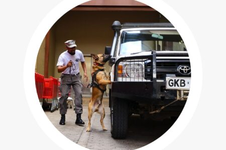 Private Security Registration Services